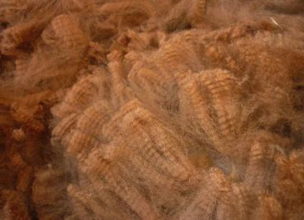 Washing Alpaca Fiber
