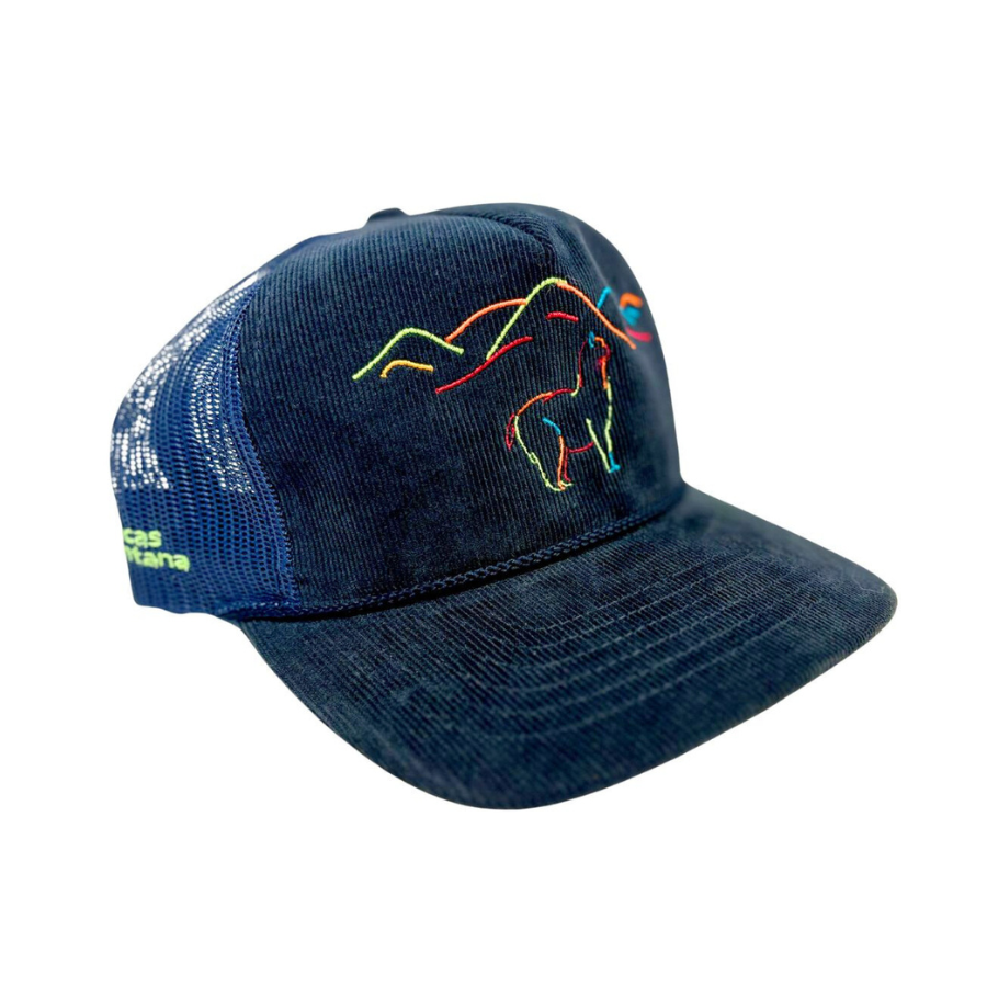 Navy blue corduroy baseball cap with colorful bull design on a white background
