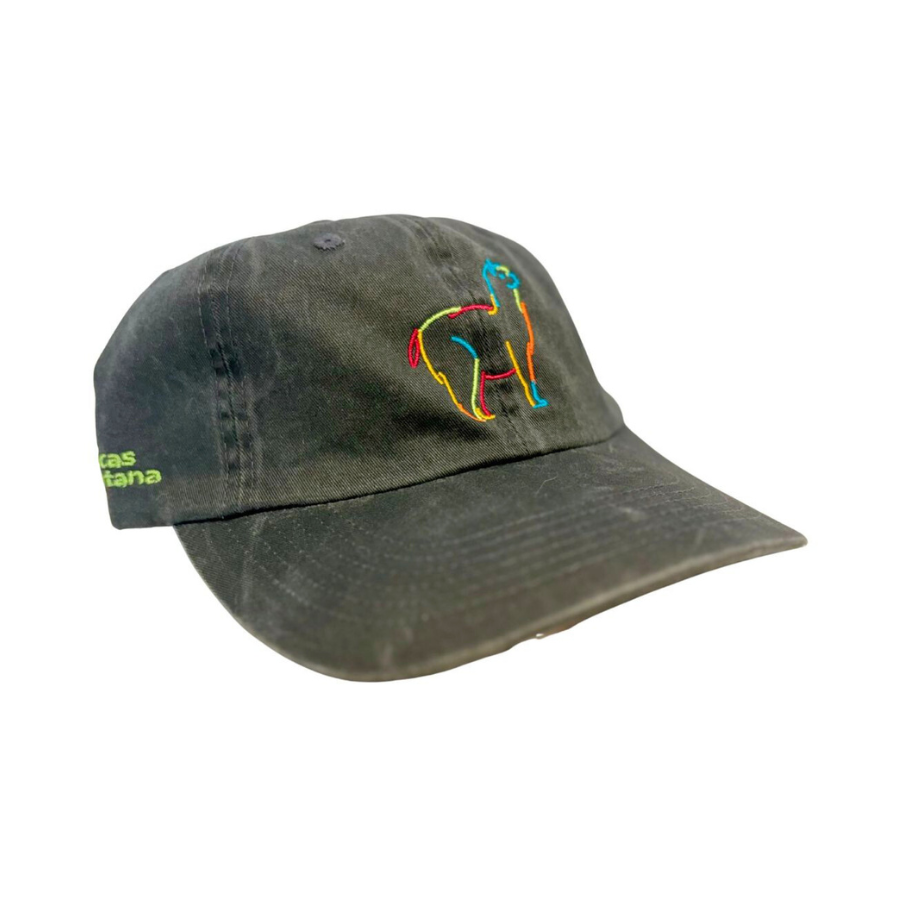 Charcoal gray baseball cap with colorful embroidered design on a white background