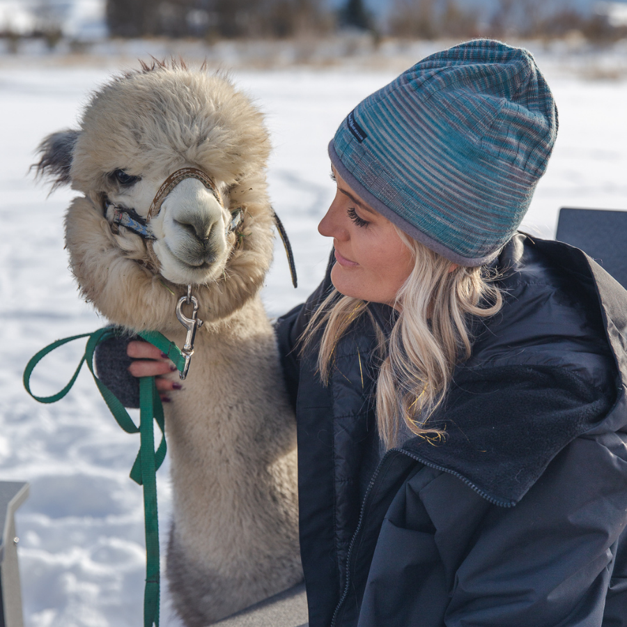 Winter scene of a blonde woman hugging a gray and white alpaca. The woman is wearing a graphite color Granite Peak Parka and a comfortable outerwear hiking skiing winter cozy Backcountry Beanie.