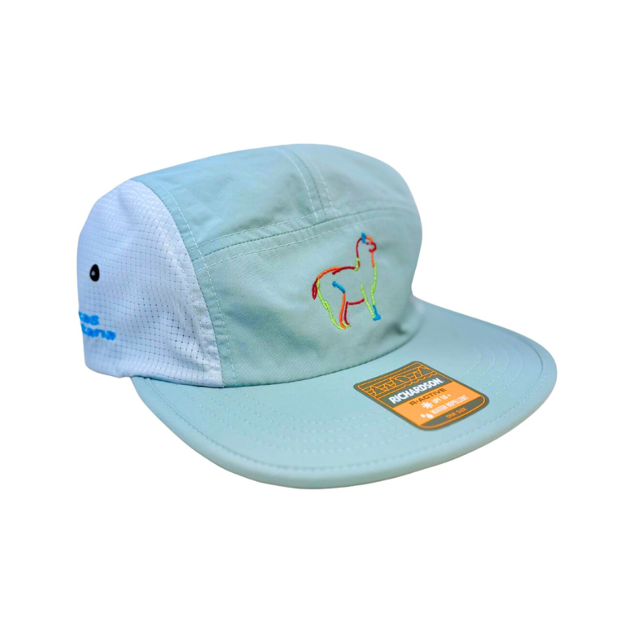 Light blue cap with embroidered design and brand label on a white background