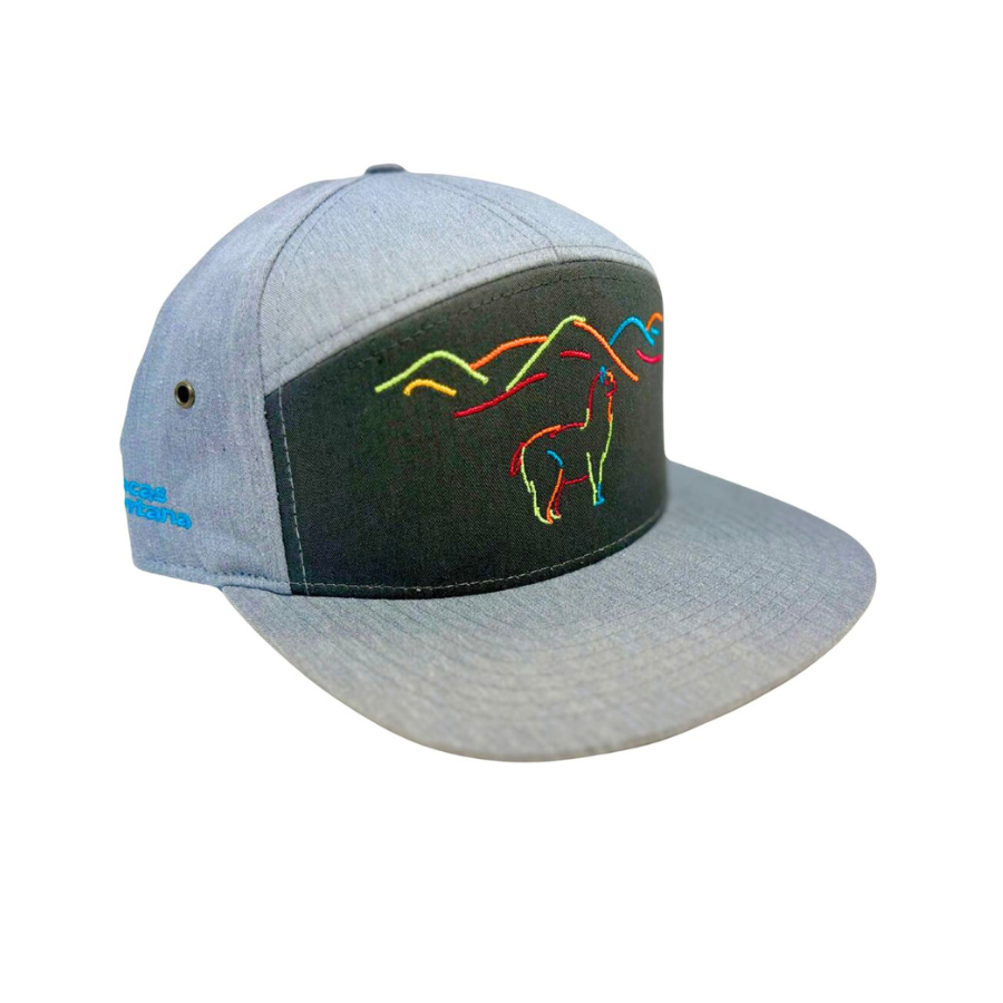 Gray cap with black front panel featuring colorful mountain design on a white background
