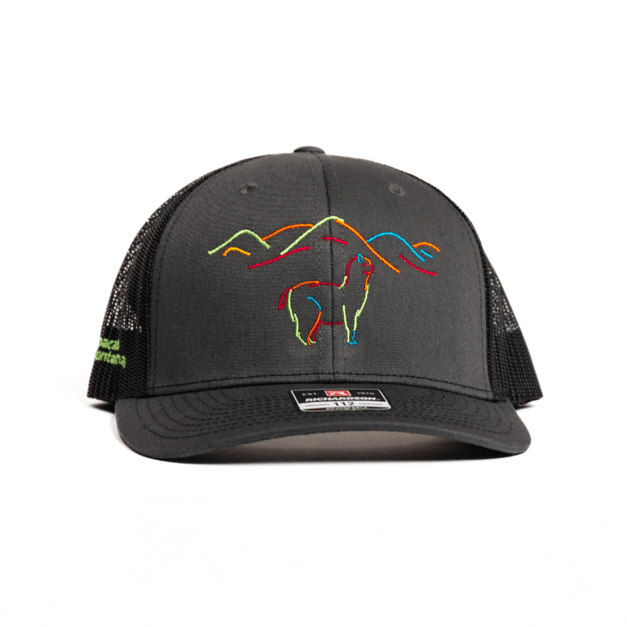 A dark gray Nike Sphere Dry baseball cap with FlexFit design, featuring a colorful logo of an alpaca on the front.