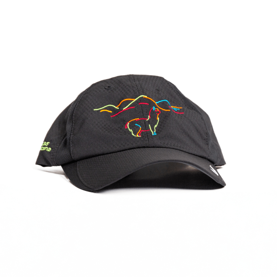 A black Nike Sphere Dry baseball cap with FlexFit design, featuring a colorful logo of an alpaca on the front.