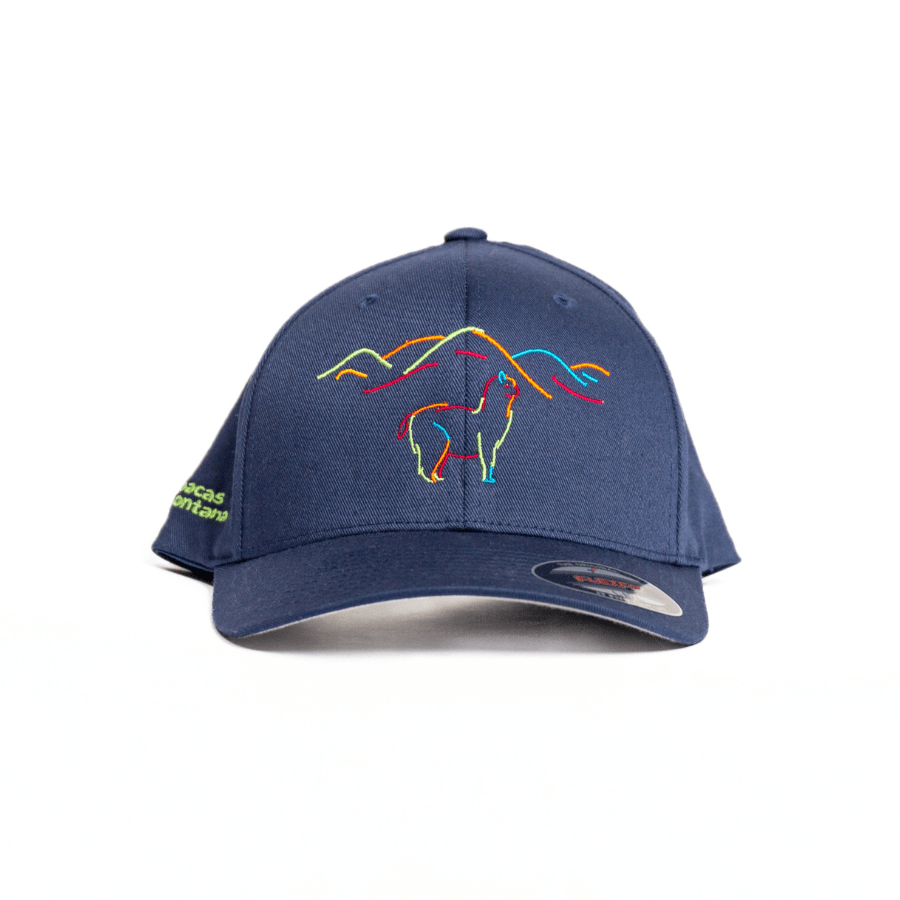 A navy Nike Sphere Dry baseball cap with FlexFit design, featuring a colorful logo of an alpaca on the front.