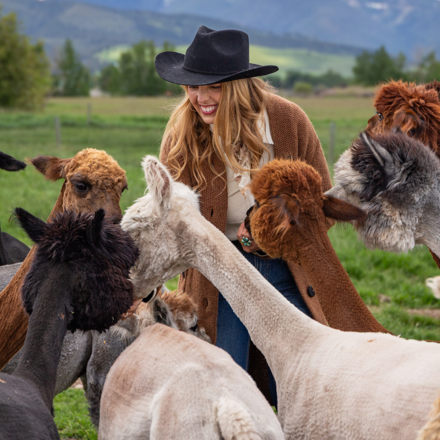 Alpaca & Llama Farm Tour Experience
