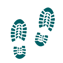 Lifestyle Socks