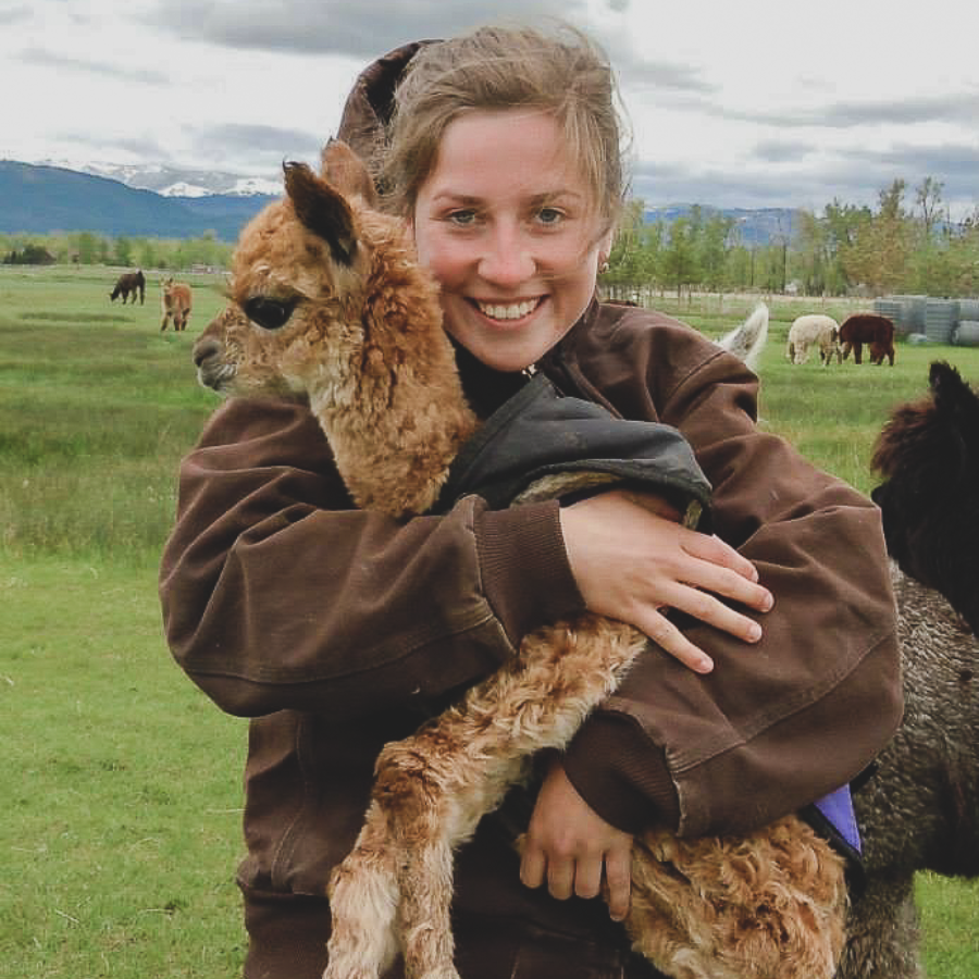 a blond girl holding a fawn baby alpaca during a farm tour in a brown coat