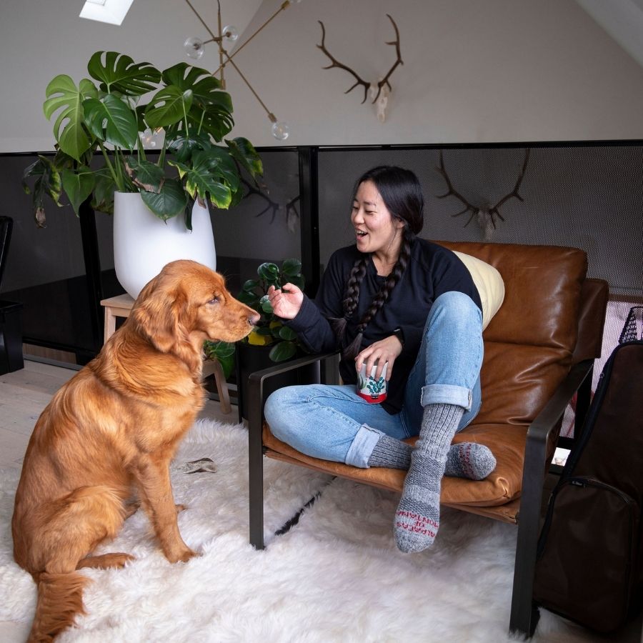 A woman sitting in a brown leather chair smiling and looking at a golden retriever dog. She is wearing a black long sleeve shirt, blue jeans, and the Alpacas of Montana cozy soft warm comfortable thermal moisture wicking everyday winter outdoors boot socks.