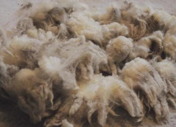 5 Steps for Washing Alpaca Fleece