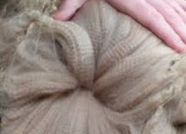 Assessing Alpaca Fleece