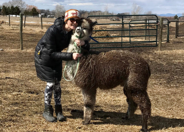 Baby Alpacas Class of 2020 - Video