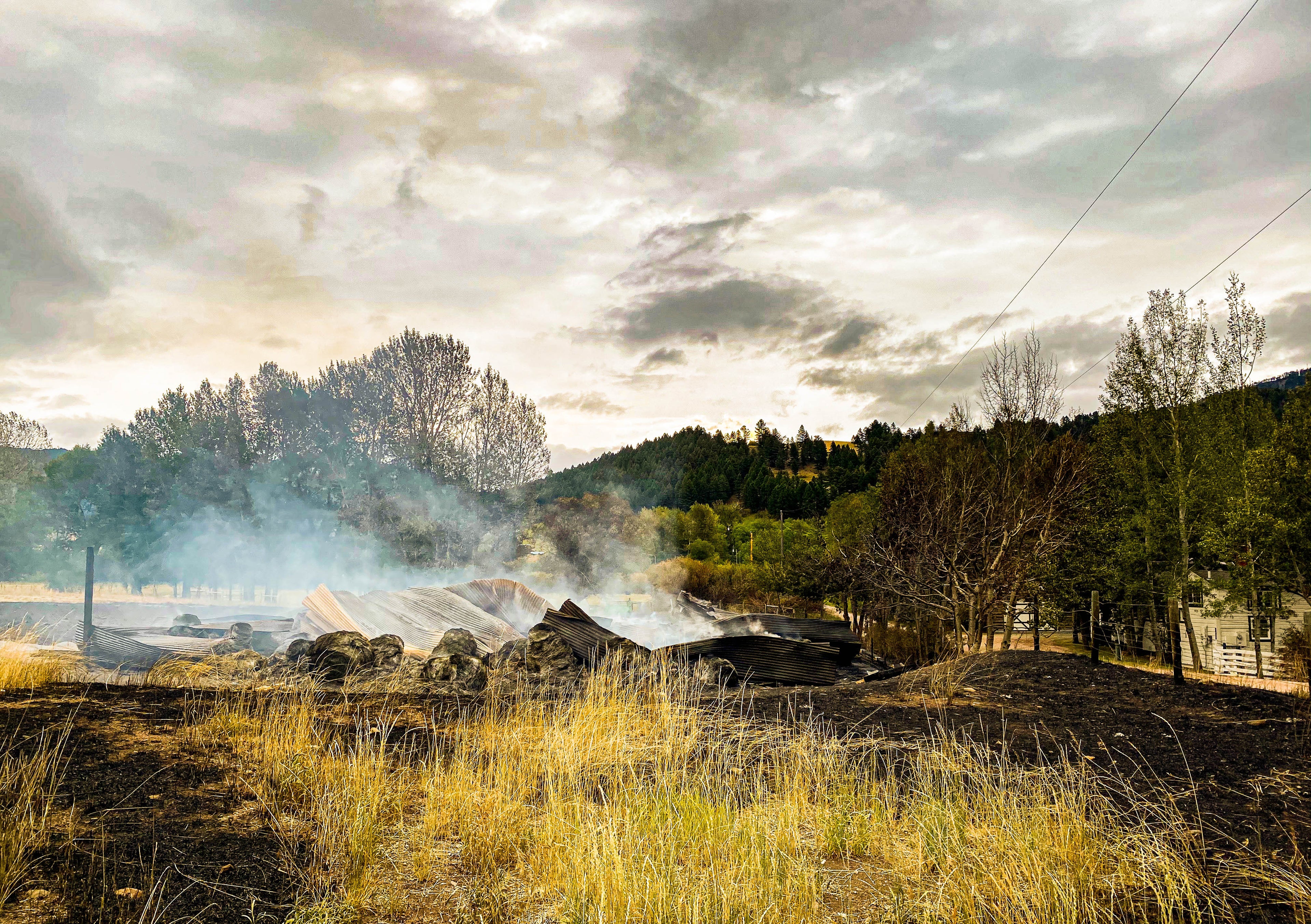 Bridger Foothills Fire: The Story Behind The Video - Horses & Alpacas Rescued from Fire