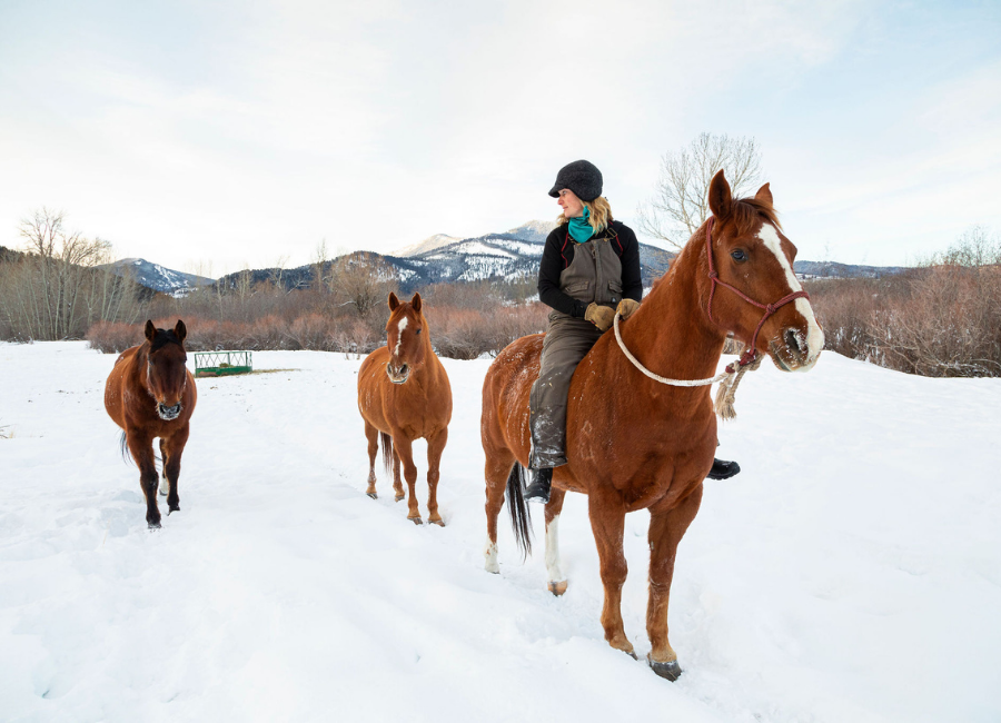 Extreme Warmth Windstopper Hat Product Feature