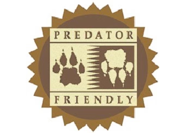 Can An Alpaca Farm Be Predator Friendly?