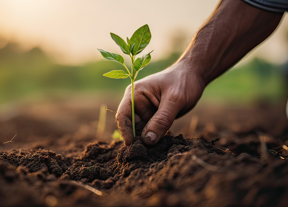 What is the Carbon-Neutral Charge?