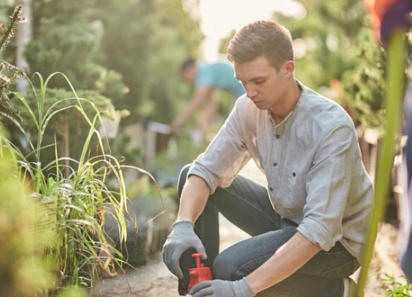 Man applying fertilizer