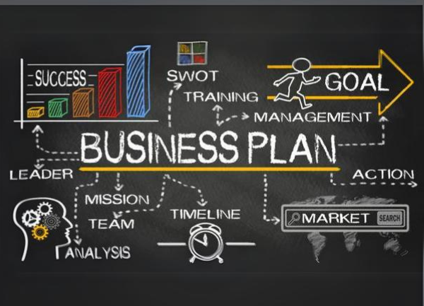 Alpaca Business Plan