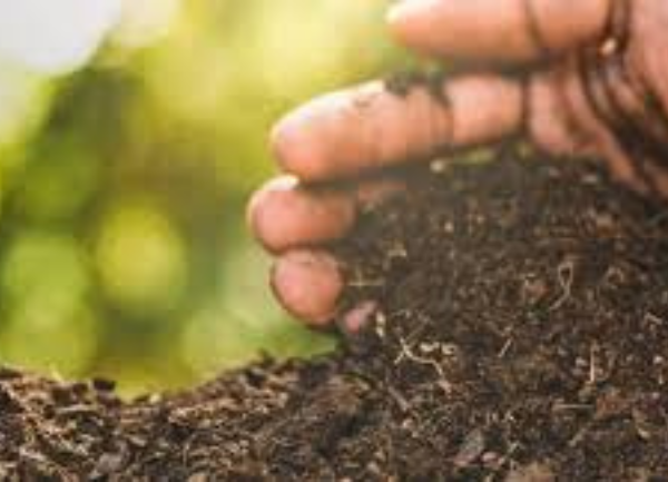 Composting Alpaca Manure