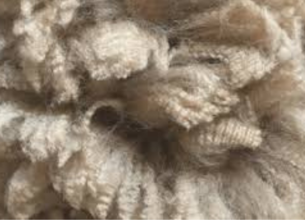 Fiber Skirting & Grading/ Classing