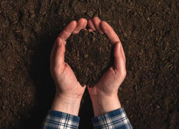 Gardening with the Right Fertilizer
