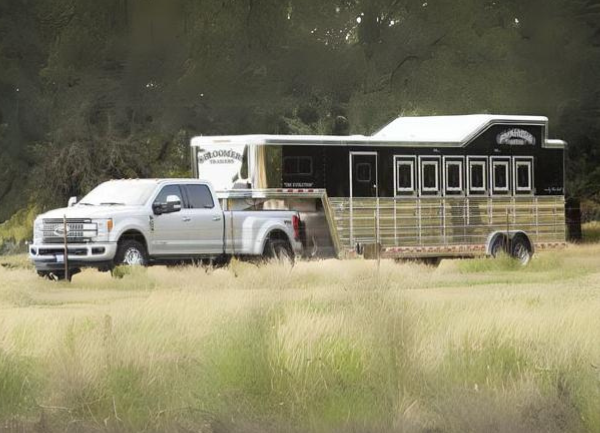 Heading to a Non-Alpaca Alpaca Show