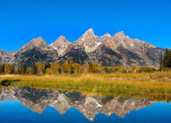 Into The Woods - Tobacco Root Mountains of Montana