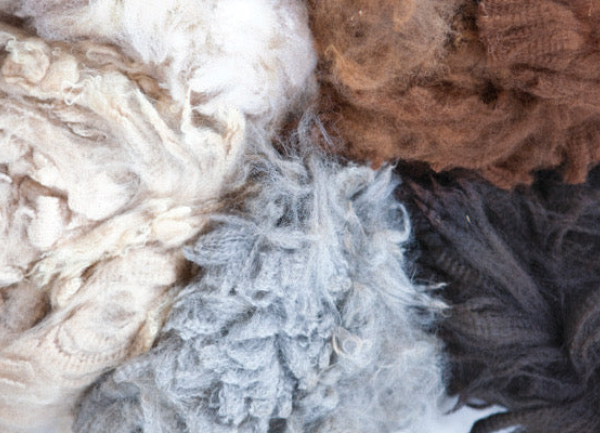 Preparing Your Fleece - From Skin to Skein