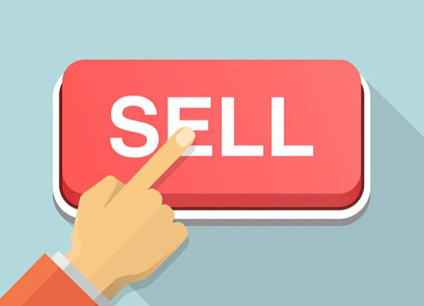 When Should You Be Ready To Sell Your Alpacas?