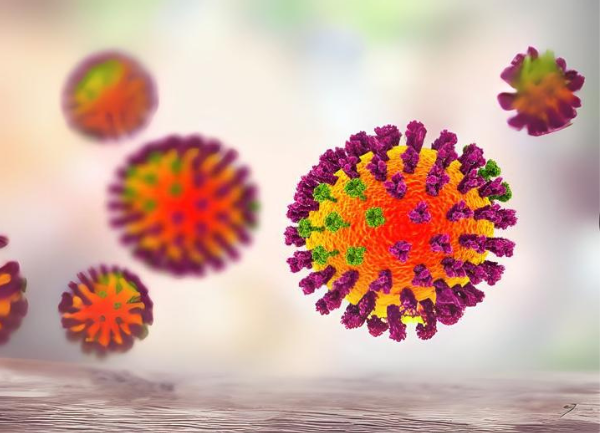 Rotavirus in Alpacas