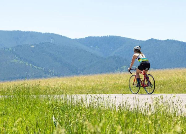 Reduce Your Carbon Footprint With Alpaca