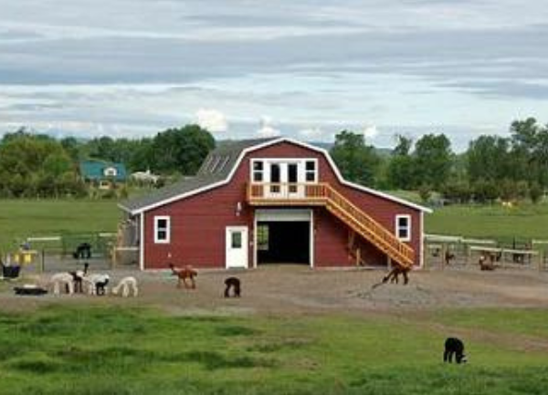 Alpaca, Livestock and Farm Depreciation