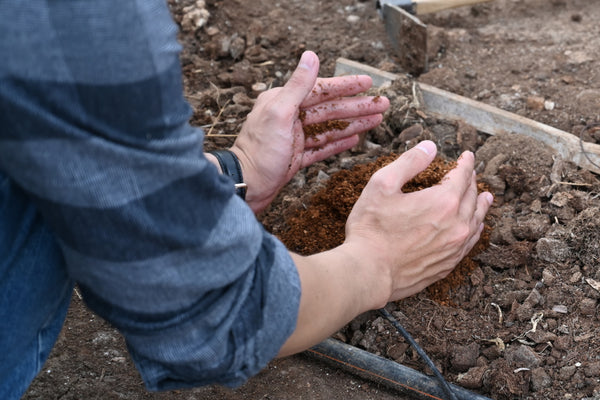 Advantages of Alpaca Manure
