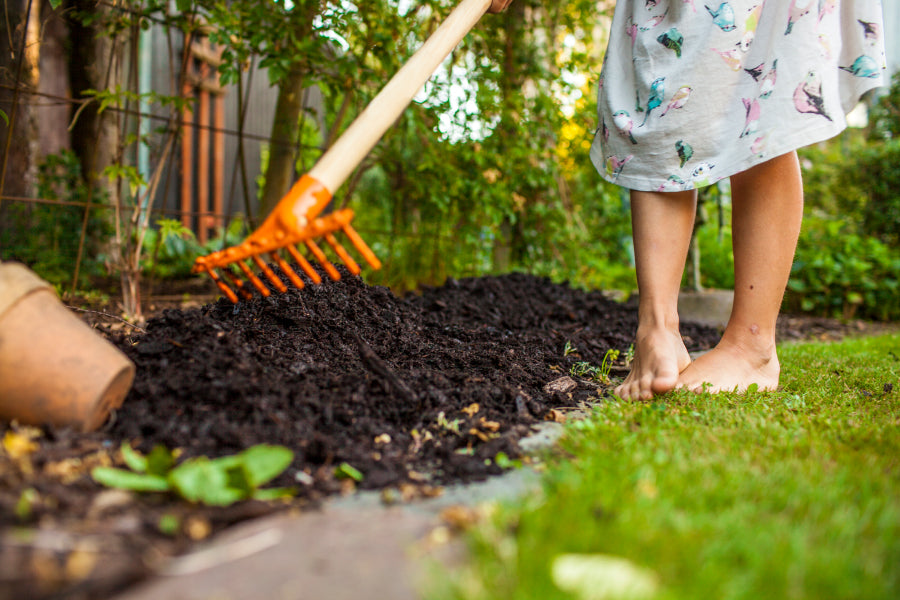 Raking fertilizer across garden