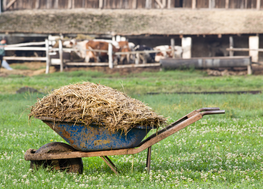 Pile of manure