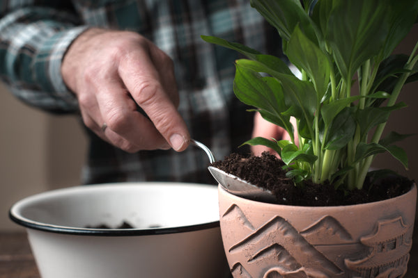 The Science behind the Green Buddz Fertilizer
