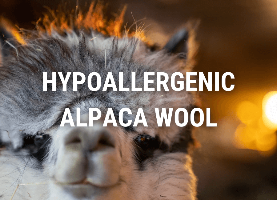 Top Benefits of Hypoallergenic Alpaca Wool Compared to Merino Wool