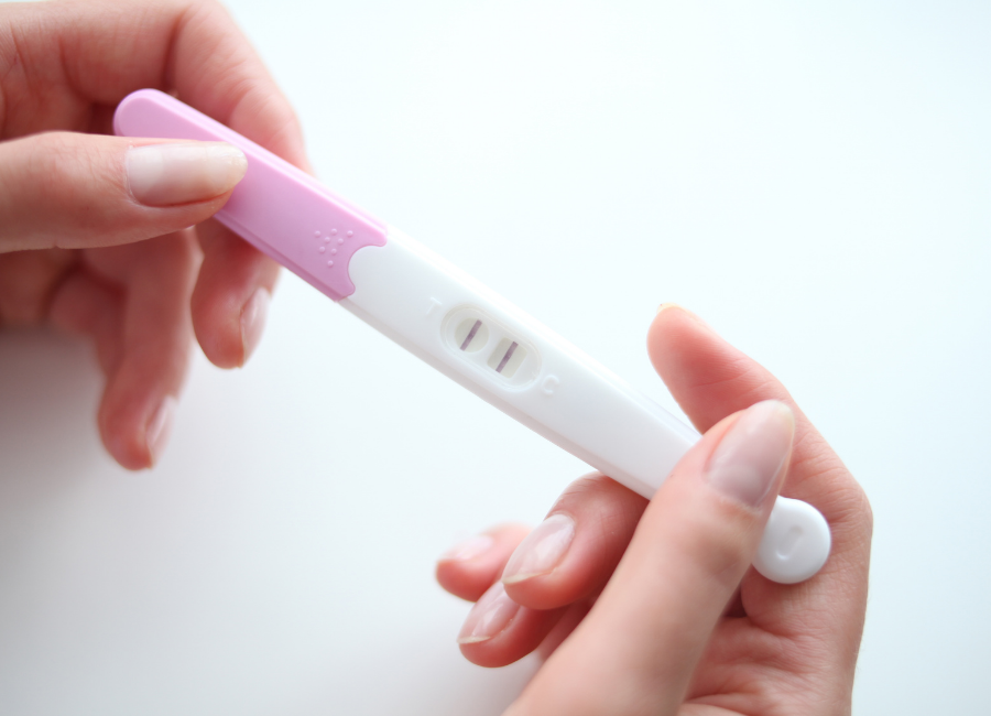 Pregnancy Testing Alpacas