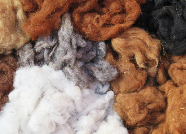 Understanding GSM and Why Alpaca Outperforms Wool