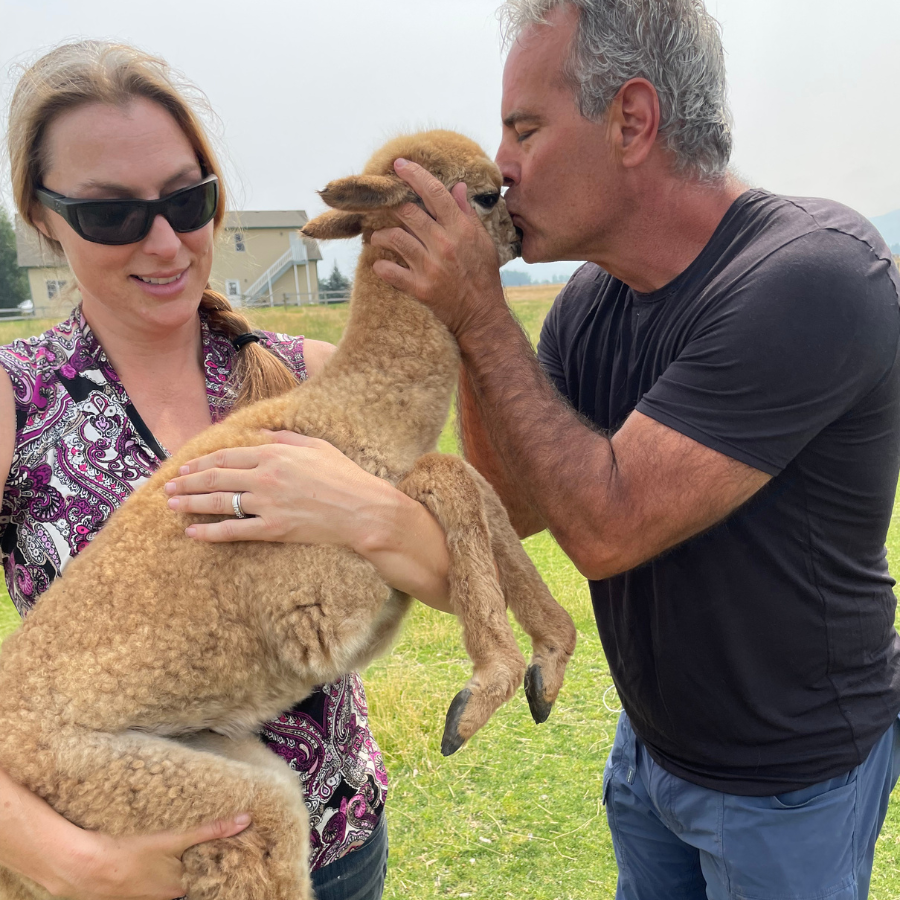 A photo of the Alpacas of Montana owners, Sarah and James Budd. Sarah is holding a baby fawn color alpaca and James is kissing the alpaca on its face.