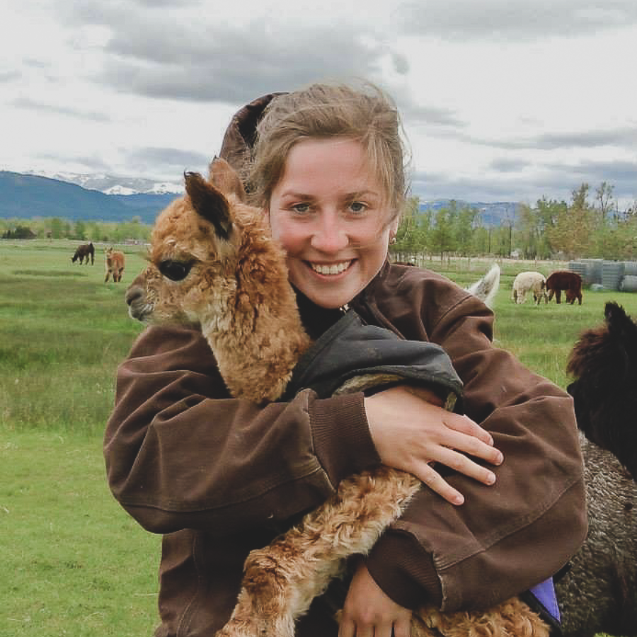 A photo of a blonde woman in a brown jacket holding a baby fawn colored alpaca in a grassy field.