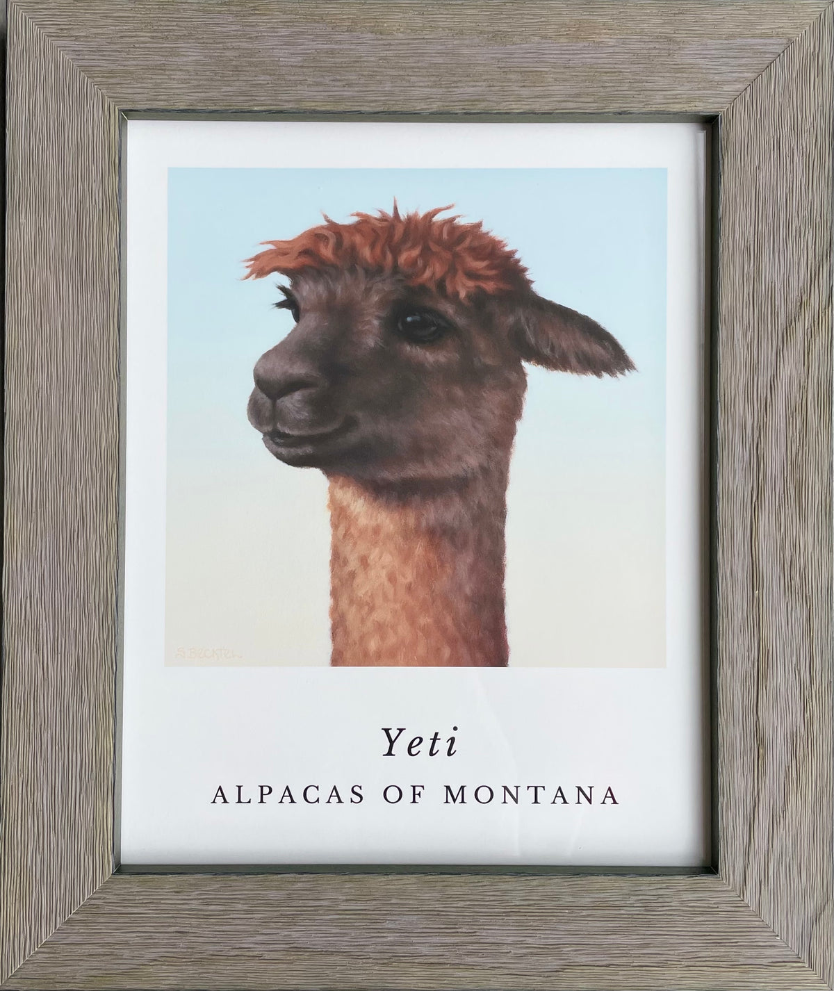 A framed portrait of alpaca named Yeti that was painted by a professional artist