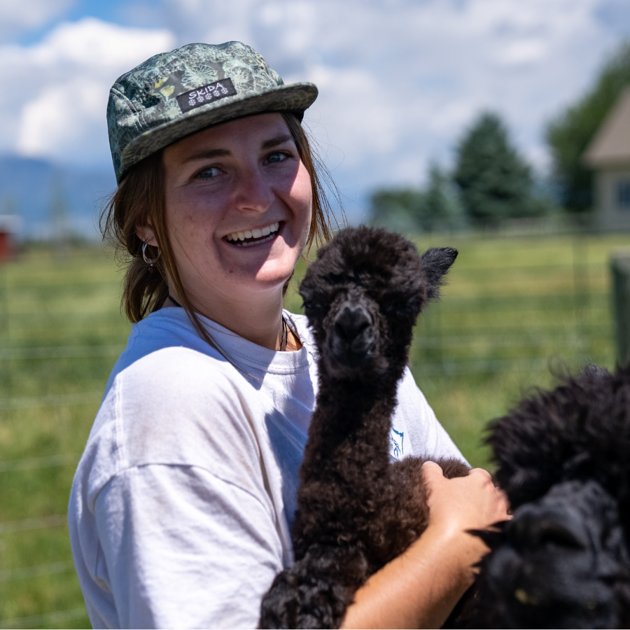 A photo of a brown haired woman with a green billed cap and white shirt holding a black baby alpaca in a grassy field.