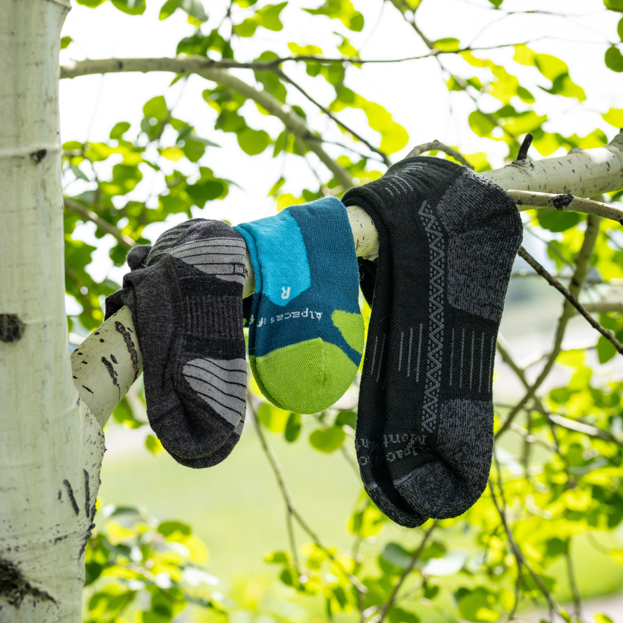 All-Season Alpaca 3-Pack