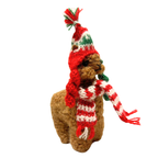 Small teddy bear wearing a red and green striped hat and scarf on a white background