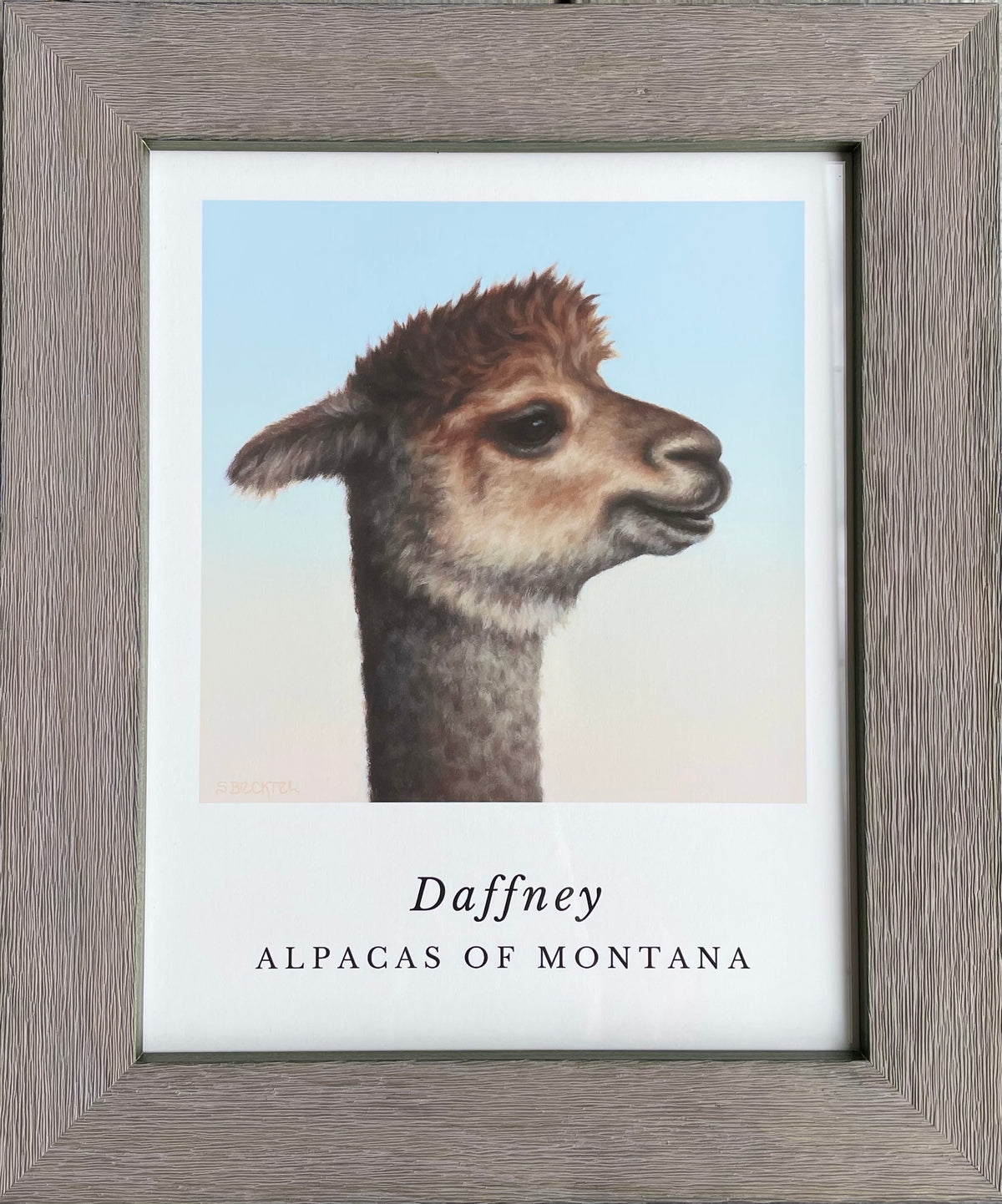 A wooden framed gray frame of a brown alpaca for sale portrait