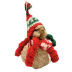 Small stuffed animal wearing a red and green knitted hat and scarf on a white background