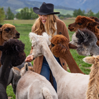 Alpaca Longline Cardigan