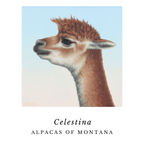 A brown and fawn and white vicuana looking alpaca that is a picture photo of any alpaca not framed