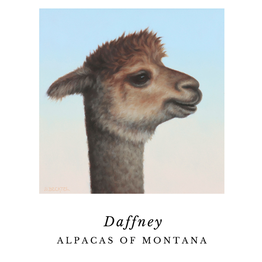 Print of an alpaca on a white background that can be framed